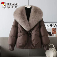 啄木鳥(niǎo)（TUCANO）棉服女2026新款冬季加厚棉衣韓版寬松大毛領(lǐng)洋氣減齡短款棉襖外套 咖色【西裝毛領(lǐng)】 XL 135-155斤
