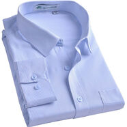 秋新款襯衫男長(cháng)袖白藍條紋襯衣上班面試職業(yè)工裝商務(wù)正裝大碼 淺藍色 均碼 38