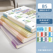 5r記憶法康奈爾活頁(yè)筆記本b5初中生考研2024年新款學(xué)習本子的 分科做筆記B5多巴胺色系4本