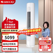 格力（GREE）2匹 天儀 新一級能效 變頻冷暖 凈菌自潔 純銅管立柜式空調柜機 KFR-50LW/(50504)FNhAa-B1