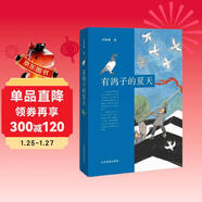 有鴿子的夏天 第五屆中國出版政府獎提名獎 第十一屆全國優(yōu)秀兒童文學(xué)獎 文學(xué)盛典年度兒童文學(xué)作品 陳伯吹國際兒童文學(xué)獎