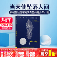 當天使墜落人間 英文原版小說(shuō) Skellig 普林茲兒童文學(xué)獎 中小學(xué)生課外興趣閱讀正版書(shū)籍暢銷(xiāo)青春成長(cháng)小說(shuō) David Almond 安徒生獎作家 當天使墜落人間