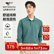 七匹狼長(cháng)袖t恤男秋季純棉固色Polo保羅衫男士翻領(lǐng)長(cháng)T打底衫商務(wù)男裝上衣 111(湖藍)-純棉固色 L (170)