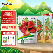 花沃里3款蔬菜種子套裝3 水果黃瓜矮小番茄盆栽草莓種子園藝種植7件套