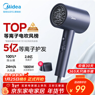 美的（Midea）5億等離子護發(fā)電吹風(fēng) 家用負離子吹風(fēng)筒 1800W大功率快干吹風(fēng)機 FJ308藍 年會(huì )獎品 生日禮物推薦