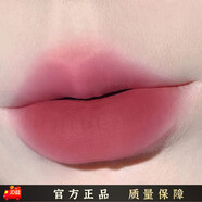 Toot Dodo空氣朦霧絲絨口紅提升氣色持久不沾杯柔霧啞光裸色唇膏 01#TOOT DODO