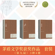 茅盾文學(xué)獎套裝【第八屆】平裝3種12冊 你在高原 天行者 推拿 張煒 劉醒龍 畢飛宇 人民文學(xué)出版社