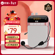 索愛(ài)（soaiy）S318小蜜蜂擴音器教師專(zhuān)用U盤(pán)TF卡麥克風(fēng)喇叭防嘯叫導游藍牙音箱戶(hù)外教學(xué)講課  TYPE-C金