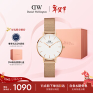 丹尼爾惠靈頓（DanielWellington）DW女士手表輕奢流金小眾石英鋼帶歐美女款腕表生日新年禮物送女生