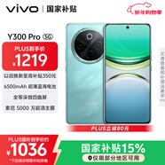 vivo Y300 Pro 8GB+128GB 金鑲玉 國家補貼 6500mAh超薄藍海電池 全等深微四曲屏 AI 拍照 手機