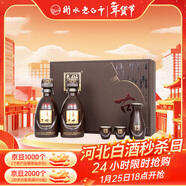 衡水老白干古法20 老白干香型白酒禮盒67度 500ml*2瓶酒具套裝 年貨春節送禮