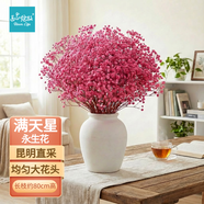 匠心綻放滿(mǎn)天星干花永生花束天然干花家居擺件客廳擺設裝飾布置粉色20274