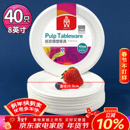 SHUANG YU一次性盤(pán)子【8英寸*40只】可降解紙盤(pán)蛋糕紙碟手工盤(pán)圓盤(pán)野餐用品