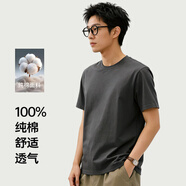 【京東直采】純棉t恤馬年圓領(lǐng)t恤男內搭衣服休閑透氣打底衫 鐵灰（短袖） 5XL （190-210斤）