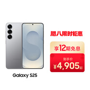 Samsung GalaxyS25 超擬人AI助理 驍龍8至尊版 AI拍照 翻譯手機 游戲手機 12GB+256GB 暮河銀