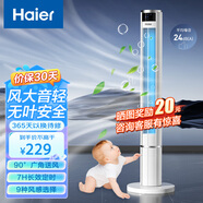海爾（Haier） 電風(fēng)扇家用塔扇遙控定時(shí)落地扇輕音搖頭辦公室無(wú)葉風(fēng)扇立式電扇空氣循環(huán)扇落地扇臥室風(fēng)扇 【1米1大風(fēng)量】遙控款FZY1101
