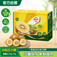 佳沛（zespri）意大利  陽(yáng)光金奇異果10粒禮盒巨大果單果約144-175g 年貨禮盒