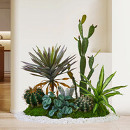 中掌柜仿真仙人掌造景室內仿真綠植熱帶植物假樹(shù)景觀(guān)盆栽裝飾擺件樓梯下 剛柔并濟款