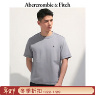 Abercrombie & Fitch【基礎多色T】經(jīng)典小麋鹿圖案棉質(zhì)短袖T恤25夏季男裝124-9235 石灰色 XL (180/116A)