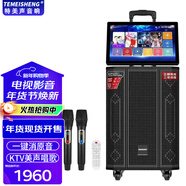 特美聲 特美聲TMS5-12戶(hù)外移動(dòng)視頻音響一體機KTV唱歌視頻點(diǎn)歌廣場(chǎng)舞音箱K歌唱歌美聲話(huà)筒移動(dòng)音箱 TMS5-11+15.6吋旋轉屏+大禮包