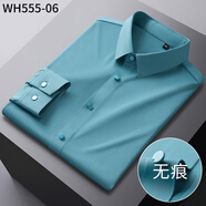 花花公子（PLAYBOY）男士長(cháng)袖白襯衫高端商務(wù)職業(yè)冰絲無(wú)痕免燙抗皺襯衣修身正裝男 豆綠 38 【建議100-115斤】