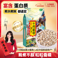 十月稻田 薏仁米 2斤 紅豆薏米煮水 五谷雜糧 高蛋白粗糧 粥米 八寶粥原料