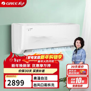 格力（GREE）1匹 京爽 新一級能效 變頻冷暖 高溫自清潔 純銅管壁掛式空調掛機 KFR-26GW/(26587)FNhAe-B1