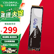 七彩虹（Colorful） M.2固態(tài)硬盤(pán)PCIe3.0 4.0  nvme協(xié)議 SSD臺式筆記本固態(tài)硬盤(pán) CN600/CN700系列 CN600 256G PRO【進(jìn)階版】 +32GB U盤(pán)
