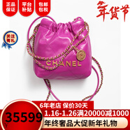 香奈兒（Chanel）女包22 手袋金屬質(zhì)感小牛皮20 × 19 × 6 cm單肩包奢侈品潮牌 紫色AS3980 B08037 NQ338