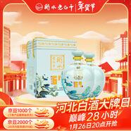 衡水老白干 青花大壇升級版 老白干香型白酒 67度1.6L*2壇 口糧純糧釀造泡酒