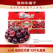 京鮮生 智利車(chē)厘子4J級10斤禮盒裝 果徑約32-34mm 水果禮盒