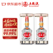 五糧液 22-25年 39度 濃香型 500ml*2 雙瓶 年份隨機 年貨送禮