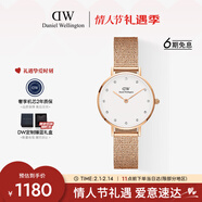 丹尼爾惠靈頓（DanielWellington）DW女士手表閃耀星辰水晶輕奢歐美腕表石英送女友新年禮物DW528