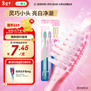 獅王（Lion）細齒潔0.01晶彩牙刷2支軟毛小巧刷頭細致護齦呵護口腔家庭裝