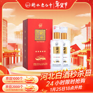 衡水老白干紅五星 老白干香型白酒 67度 500ml雙瓶裝 商務(wù)送禮