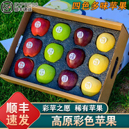 南步云南昭通高原彩色蘋(píng)果【順豐配送】彩蘋(píng)之愿多彩蘋(píng)果水果年貨禮盒 凈重4斤 精選中果（紅+黃綠+紫+金黃 ）【4拼12果】