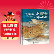 國際繪本大師經(jīng)典：下雪天 3-6歲 童立方出品
