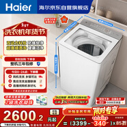 海爾（Haier）小紅花 全自動(dòng)波輪洗衣機 10KG雙動(dòng)力 紫外殺菌 家電國家補貼以舊換新京東自營(yíng) XQS100-BE73M