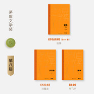 茅盾文學(xué)獎套裝【第八屆】精裝3種12冊 你在高原 天行者 推拿 張煒 劉醒龍 畢飛宇 人民文學(xué)出版社