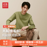 紅豆羊毛加絨毛衣男可機洗加絨冬款保暖針織衫男黑色毛衫男太陽(yáng)絨毛衣 【加絨圓領(lǐng)】L2碧山綠 M 46 【推薦115-130斤】