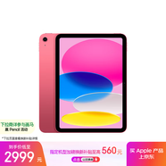 Apple/蘋(píng)果 iPad11英寸 A16芯片2025年款 平板電腦 (256GB WLAN版/學(xué)習辦公娛樂(lè ))粉色