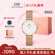 丹尼爾惠靈頓（DanielWellington）DW女士手表輕奢流金簡(jiǎn)約石英歐美腕表送女友新年禮物DW219
