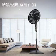 先鋒電風(fēng)扇DLD-D1 先鋒電風(fēng)扇DLD-D1