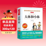 大林和小林/愛(ài)閱讀中小學(xué)兒童文學(xué)名著(zhù)閱讀快樂(lè )讀書(shū)吧張天翼洋涇浜奇俠