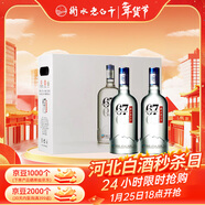 衡水老白干冰峰 老白干香型白酒 67度 750ml*2瓶禮盒裝 商務(wù)宴請春節送禮