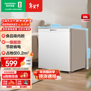 容聲（Ronshen）30升單門(mén)家用冰柜一級能效母嬰母乳出租房辦公室省電小型冰箱小冰柜冷凍柜BD-30E10LNLAD國家補貼