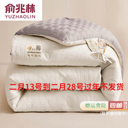 俞兆林學(xué)生母嬰級A類(lèi)華夫格針織提花大豆被 春秋被加厚冬被春秋被冬被棉 拼色-灰白色 150*200cm-5.5斤冬被
