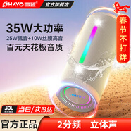 雷登（OHAYO）X10MAX無(wú)線(xiàn)便攜式藍牙音箱2025新款重低音炮大音量高音質(zhì)戶(hù)外迷你小型自行車(chē)騎行小音響防水音箱 2分頻【傳奇音質(zhì)】35W賽道揚聲器-灰 防塵防水+超長(cháng)續航【當/次日達】