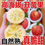 胖東來(lái)同款大涼山丑蘋(píng)果2025正宗頭茬冰糖心蘋(píng)果多汁新鮮水果脆甜 老農推薦【十年老樹(shù)】冰糖心 實(shí)惠好吃【帶箱9-10斤大果】品質(zhì)不打折