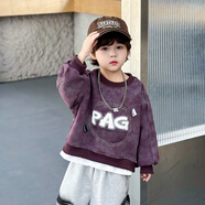 樂(lè )迪輝男童套裝兒童衛衣衛褲春秋裝寶寶時(shí)尚休閑洋氣馬甲三件套小孩衣服 1686衛衣 100 碼/身高90-100cm(2-3歲)